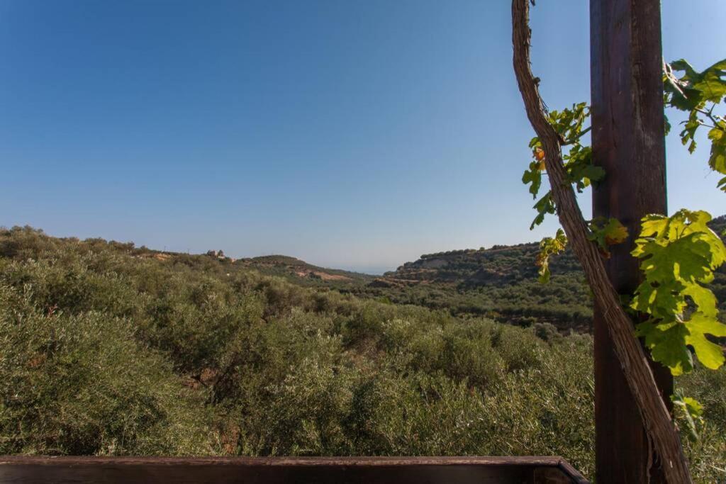 Villa Manolis Chania  ภายนอก รูปภาพ