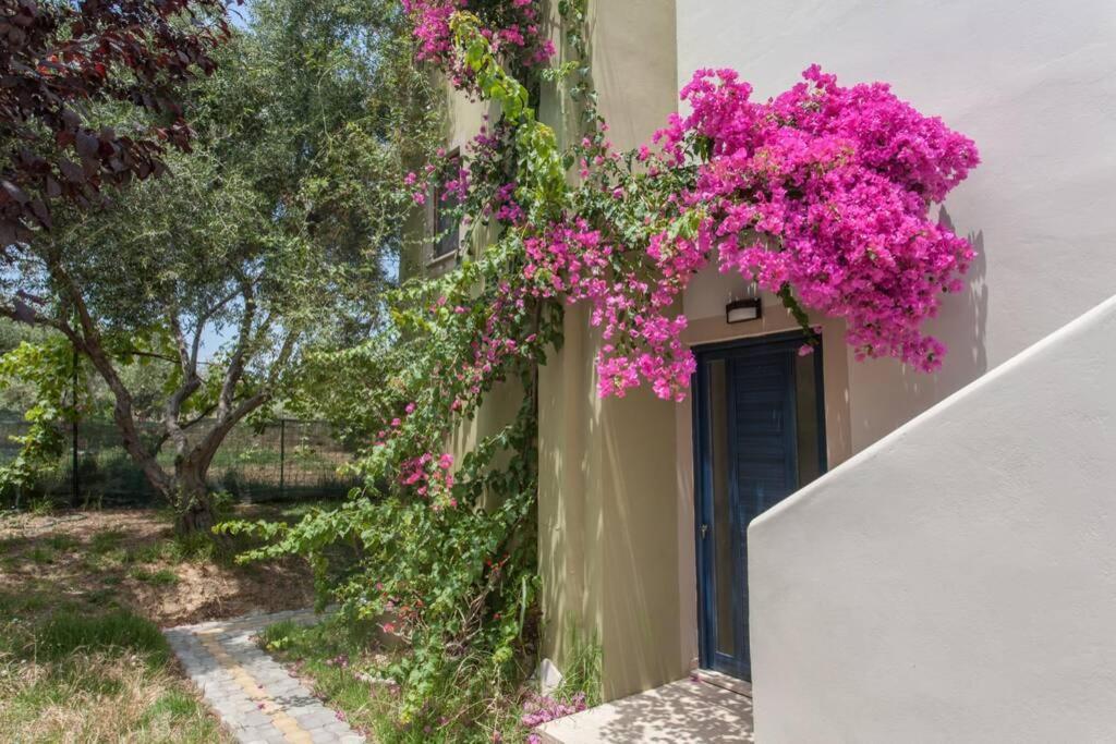 Villa Manolis Chania  ภายนอก รูปภาพ